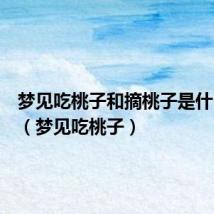 梦见吃桃子和摘桃子是什么意思(梦见吃桃子)