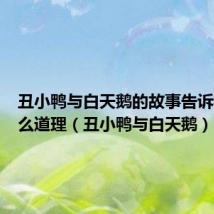 丑小鸭与白天鹅的故事告诉我们什么道理(丑小鸭与白天鹅)