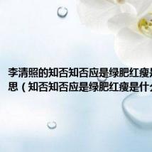 李清照的知否知否应是绿肥红瘦是什么意思(知否知否应是绿肥红瘦是什么意思)