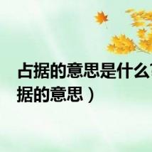 占据的意思是什么?（占据的意思）