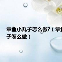 章鱼小丸子怎么做?(章鱼小丸子怎么做)
