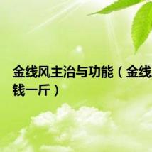 金线风主治与功能(金线风多少钱一斤)