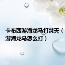 卡布西游海龙马打焚天(卡布西游海龙马怎么打)