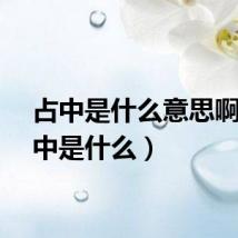 占中是什么意思啊（占中是什么）