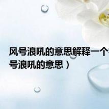 风号浪吼的意思解释一个字(风号浪吼的意思)