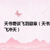 天书奇谈飞羽徽章(天书奇谈一飞冲天)