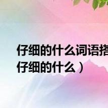 仔细的什么词语搭配（仔细的什么）