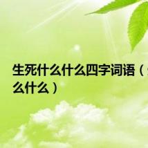 生死什么什么四字词语(生死什么什么)