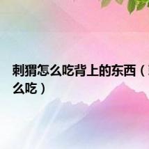 刺猬怎么吃背上的东西（刺猬怎么吃）