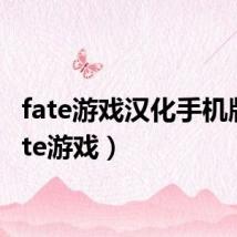 fate游戏汉化手机版(fate游戏)