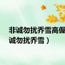 非诚勿扰乔雪高偓（非诚勿扰乔雪）