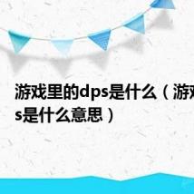 游戏里的dps是什么(游戏里dps是什么意思)