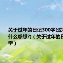 关于过年的日记300字(过年了你有什么感想?)(关于过年的日记300字)