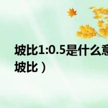 坡比1:0.5是什么意思(坡比)