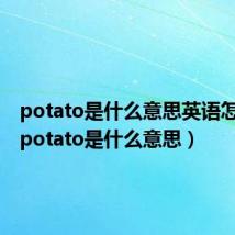 potato是什么意思英语怎么读(potato是什么意思)