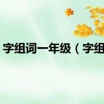 字组词一年级（字组词）