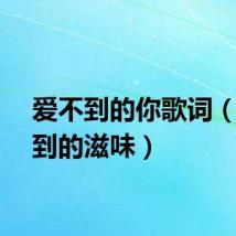 爱不到的你歌词（爱不到的滋味）