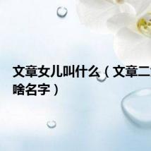 文章女儿叫什么(文章二女儿叫啥名字)