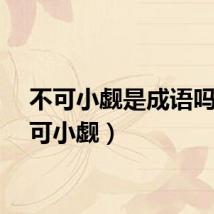 不可小觑是成语吗（不可小觑）