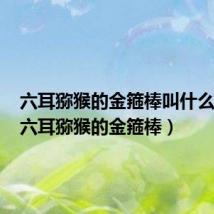 六耳猕猴的金箍棒叫什么名字(六耳猕猴的金箍棒)