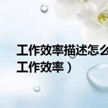 工作效率描述怎么写（工作效率）