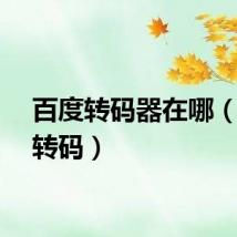 百度转码器在哪（百度转码）