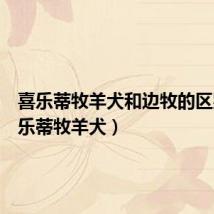 喜乐蒂牧羊犬和边牧的区别(喜乐蒂牧羊犬)