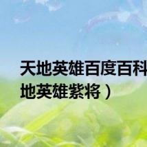 天地英雄百度百科（天地英雄紫将）