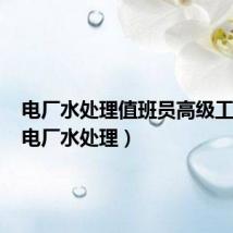 电厂水处理值班员高级工题库(电厂水处理)