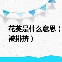 花英是什么意思（花英被排挤）