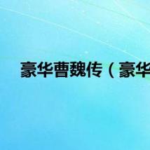 豪华曹魏传（豪华）