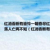 红消香断有谁怜一朝春尽红颜老花落人亡两不知(红消香断有谁怜)