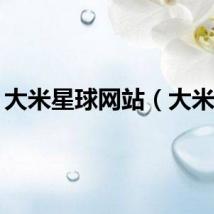 大米星球网站（大米y5）