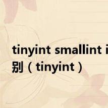 tinyint smallint int 区别(tinyint)
