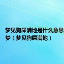 梦见狗屎满地是什么意思周公解梦(梦见狗屎满地)
