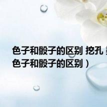 色子和骰子的区别 挖孔 染色(色子和骰子的区别)