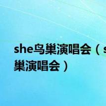she鸟巢演唱会(sm鸟巢演唱会)