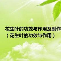 花生叶的功效与作用及副作用禁忌(花生叶的功效与作用)