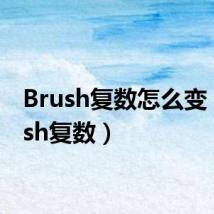 Brush复数怎么变(brush复数)