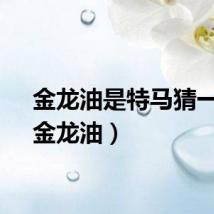 金龙油是特马猜一肖（金龙油）