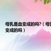 母乳是血变成的吗?(母乳是血变成的吗)