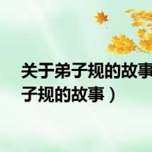 关于弟子规的故事（弟子规的故事）