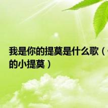 我是你的提莫是什么歌(你是我的小提莫)