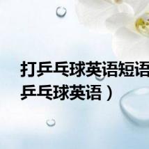 打乒乓球英语短语(打乒乓球英语)