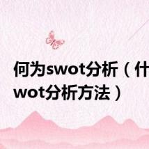 何为swot分析(什么是swot分析方法)