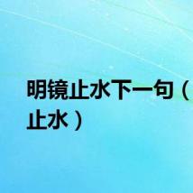 明镜止水下一句（明镜止水）