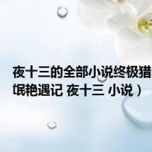 夜十三的全部小说终极猎杀(流氓艳遇记 夜十三 小说)