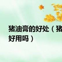 猪油膏的好处（猪油膏好用吗）