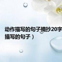 动作描写的句子摘抄20字(动作描写的句子)