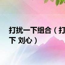打扰一下组合（打扰一下 刘心）